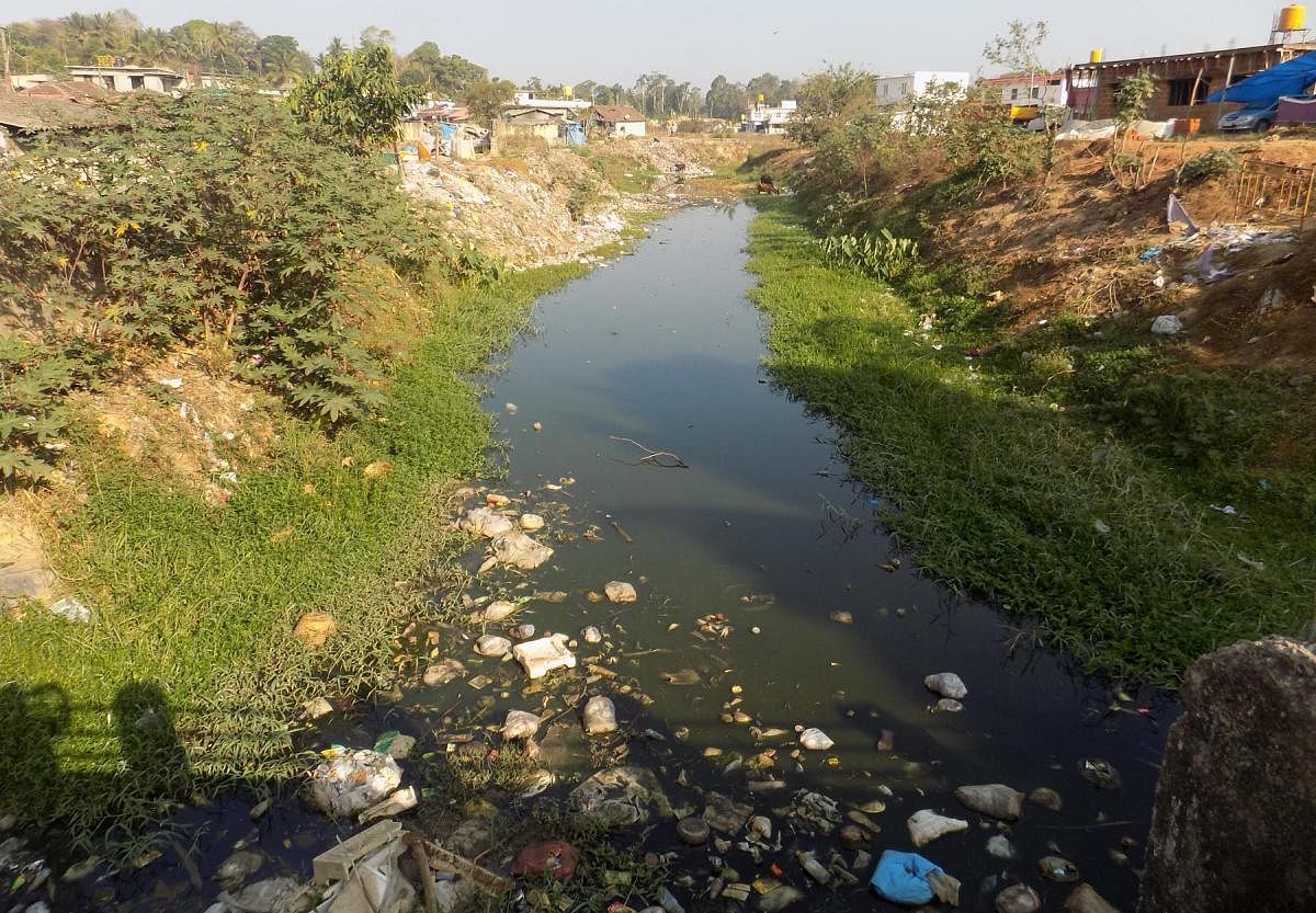 The polluted Keerehole that flows in Gonikoppa.