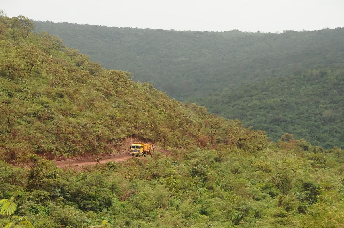 Sandur's virgin forest. Credit: DH photo. 