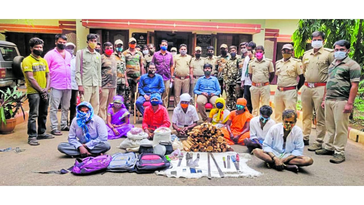 Forest department personnel with the accused and seized sandalwood logs, in Kollegal, Chamarajanagar district. Credit: DH Photo