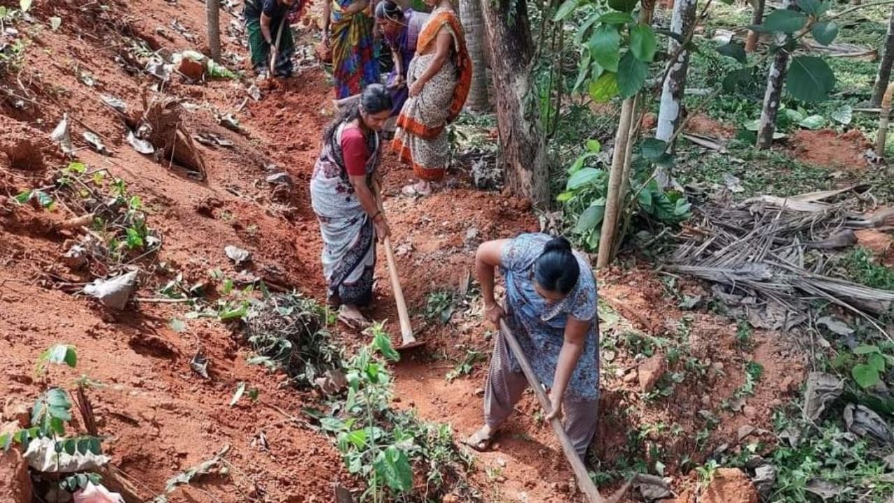 Women engage in work under MGNREGS at Madhyanadka in Kurnad. Credit: DH Photo
