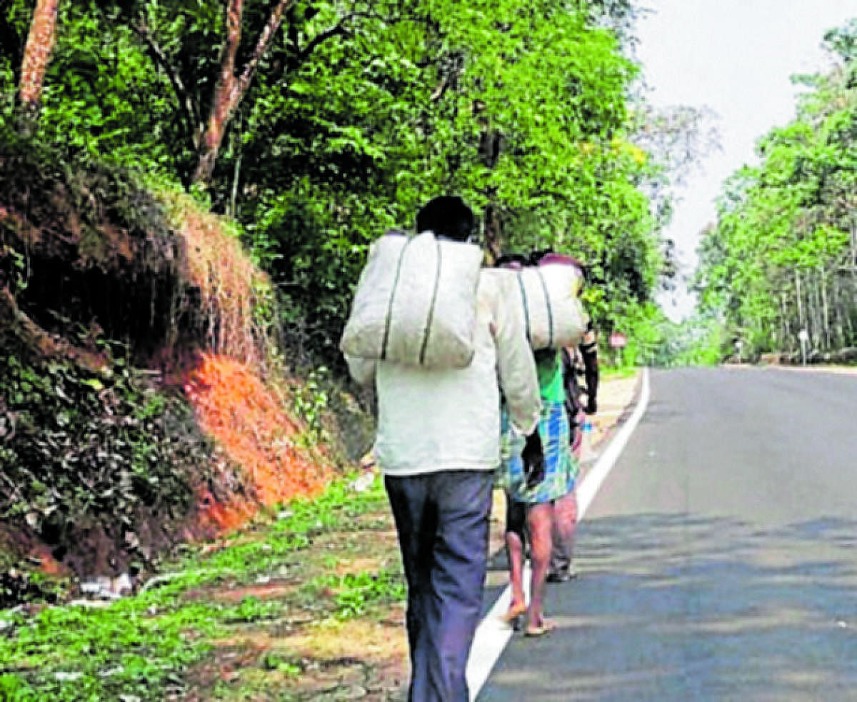 Migrant labourers in Kushalnagar return to their villages on foot.