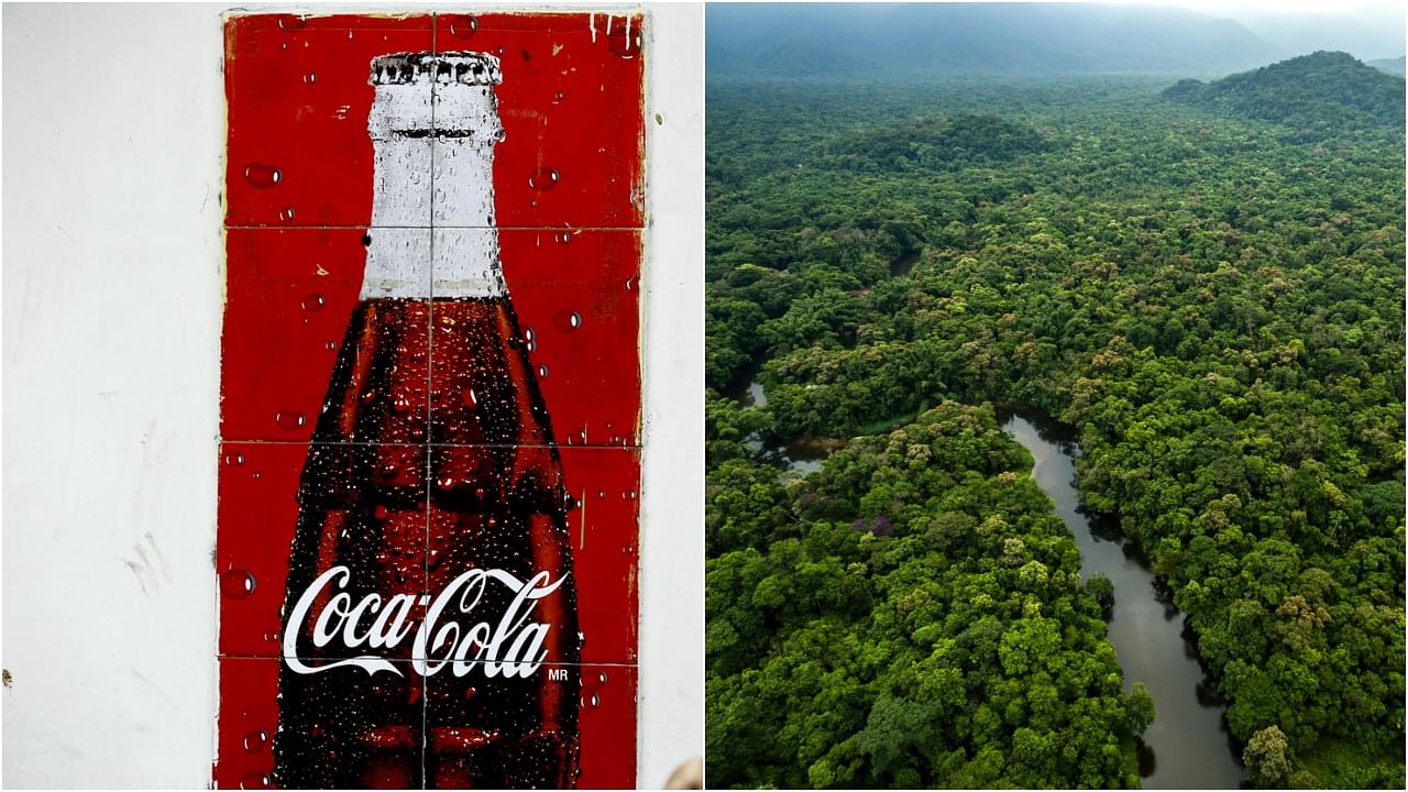 Coca-Cola is the eighth company to join the program by adopting the Javari-Buriti Area of Relevant Ecological Interest for 658,850 reais ($122,109) for a period of one year. Credit: iStock Photo