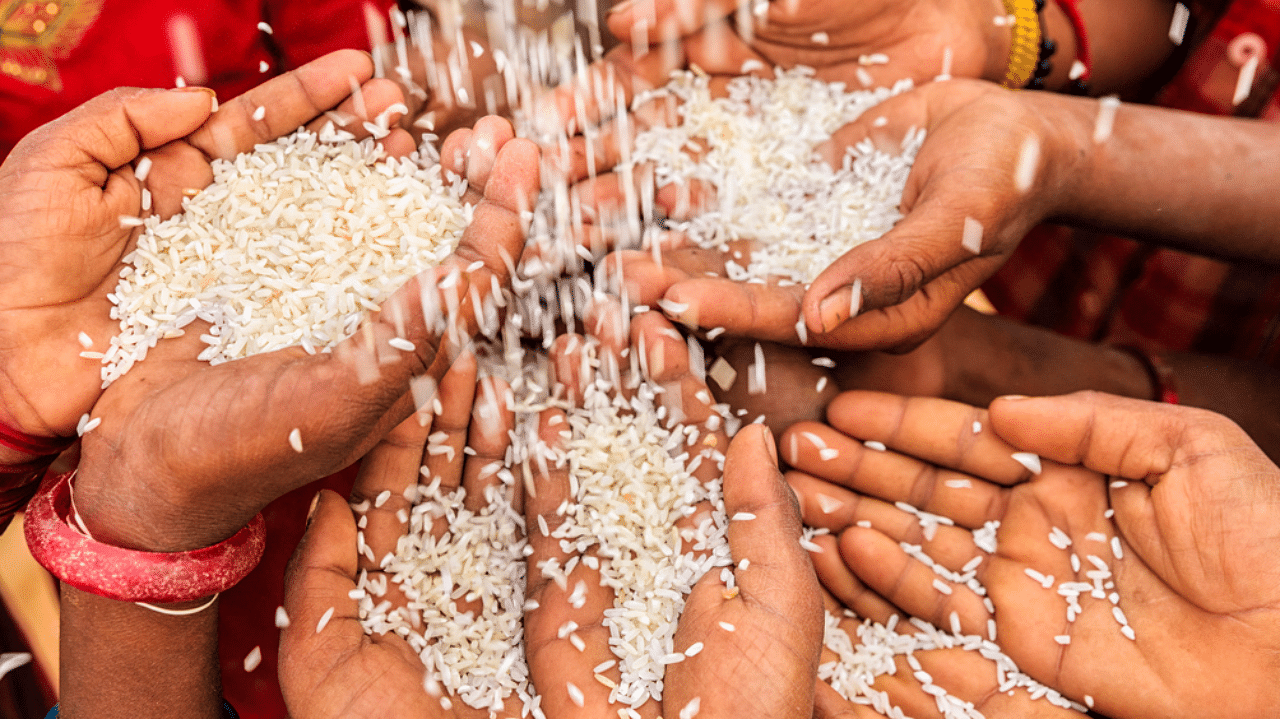 The government supplied free rice under the scheme between March and October, 2020, according to FCI officials. Credit: iStock Photo