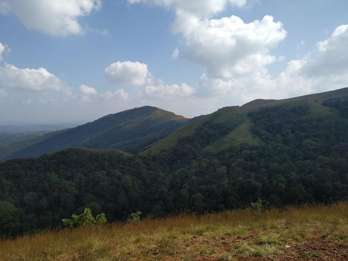 View of the Western Ghats. PHOTOS BY AUTHOR