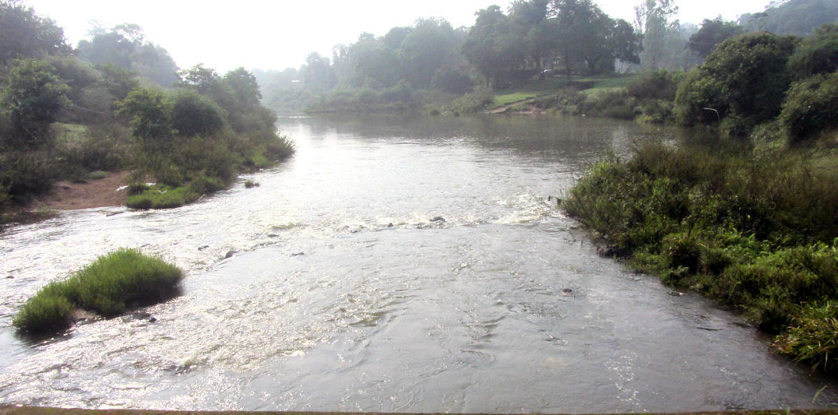 There was an increase in the flow of water to River Cauvery in Balamuri village near Napoklu.
