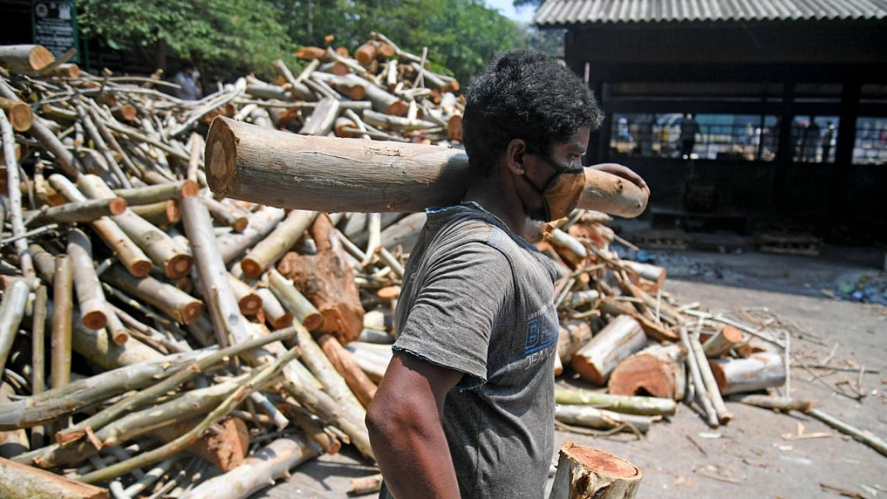 A firewood distributor carries wooden logs at TR Mills Crematorium in Bengaluru. Credit: DH Photo/Pushkar V