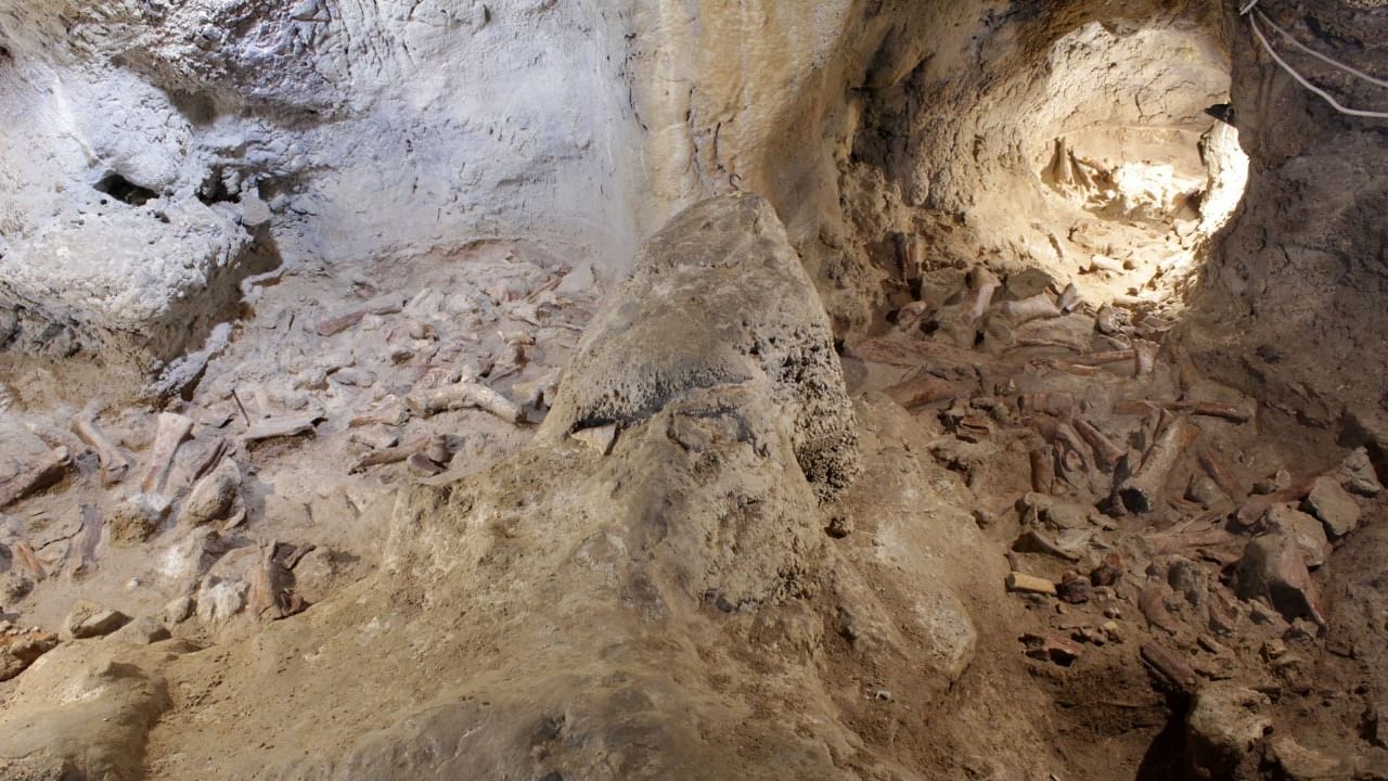 Fossilised remains, supposed to belong to Neanderthal men, are seen at a prehistoric site in Guattari cave in San Felice Circeo. Credit: Reuters Photo/Ministry of Cultural Heritage and Activities and Tourism/Handout