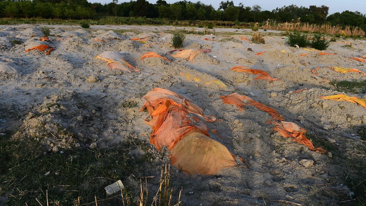 Bodies of suspected Covid-19 coronavirus victims are seen partially buried in the sand near a cremation ground on the banks of Ganges River in Rautapur Ganga Ghat, in Unnao. Credit: AFP Photo