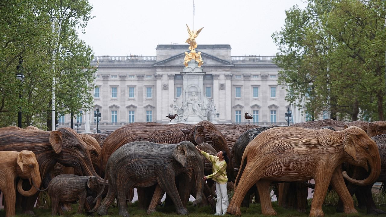 Natasha Hibbert poses alongside an exhibition of life-size elephant sculptures, part of the CoExistence campaign organised by the Elephant Family Trust, on The Mall in London. Credit: Reuters Photo