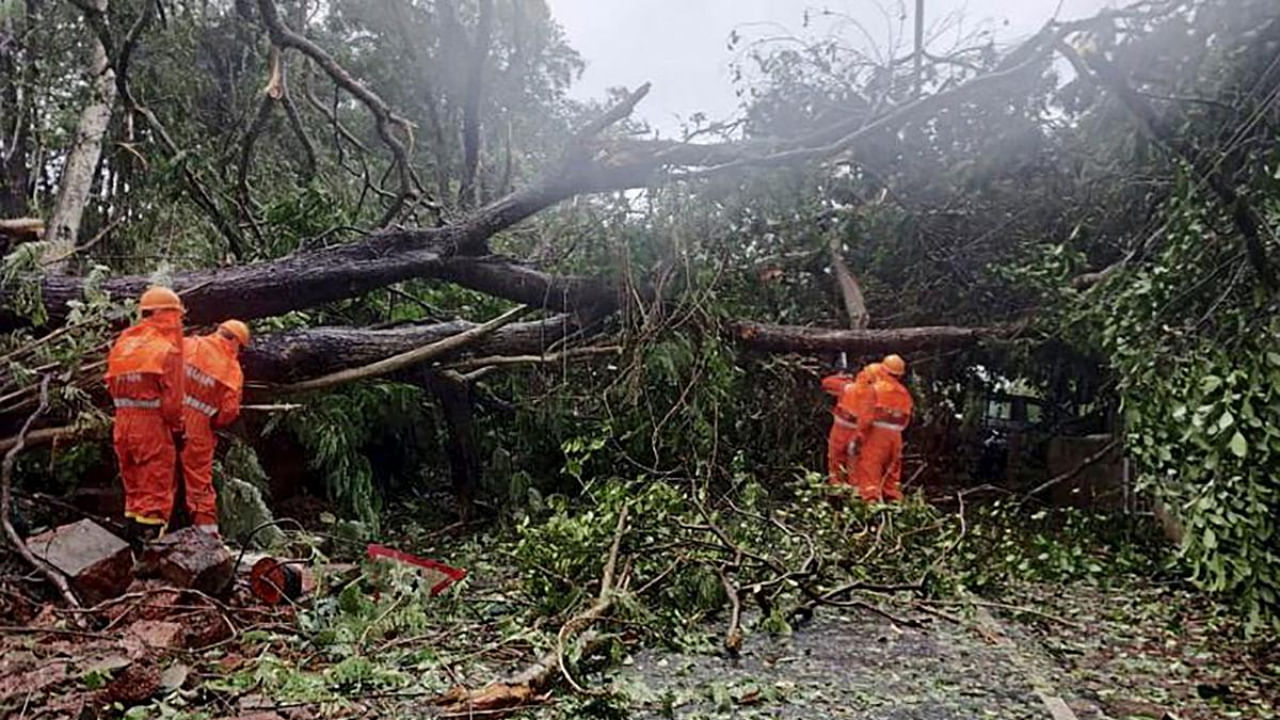 National Disaster Response Force (NDRF) personnel clearing fallen trees from a road following severe cyclonic storm 'Tauktae' at Margao in Goa.  Credit: AFP Photo