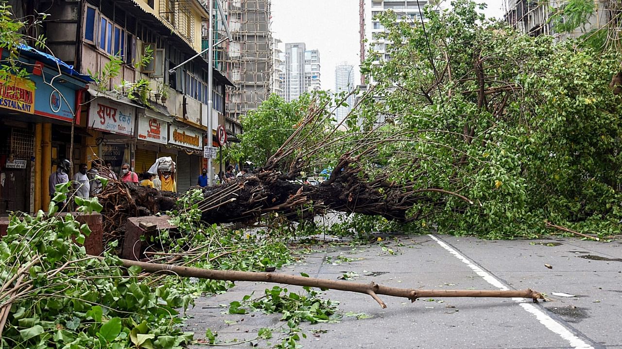 Cyclone Tauktae hit the west coast of India with powerful winds and driving rain, leaving at least 24 people dead and almost 100 missing. Credit: AFP Photo