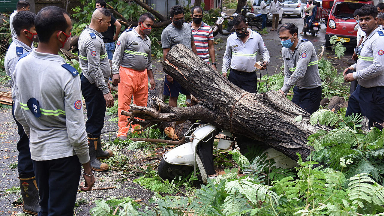 Firefighters work to clear an uprooted tree from a street in Mumbai on May 18, 2021, after Cyclone Tauktae hit the west coast of India with powerful winds and driving rain, leaving at least 24 people dead and almost 100 missing. Credit: AFP Photo