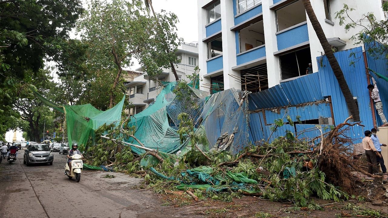 Tree uprooted and damaged due to heavy rainfall at Dadar in Mumbai. Credit: PTI Photo