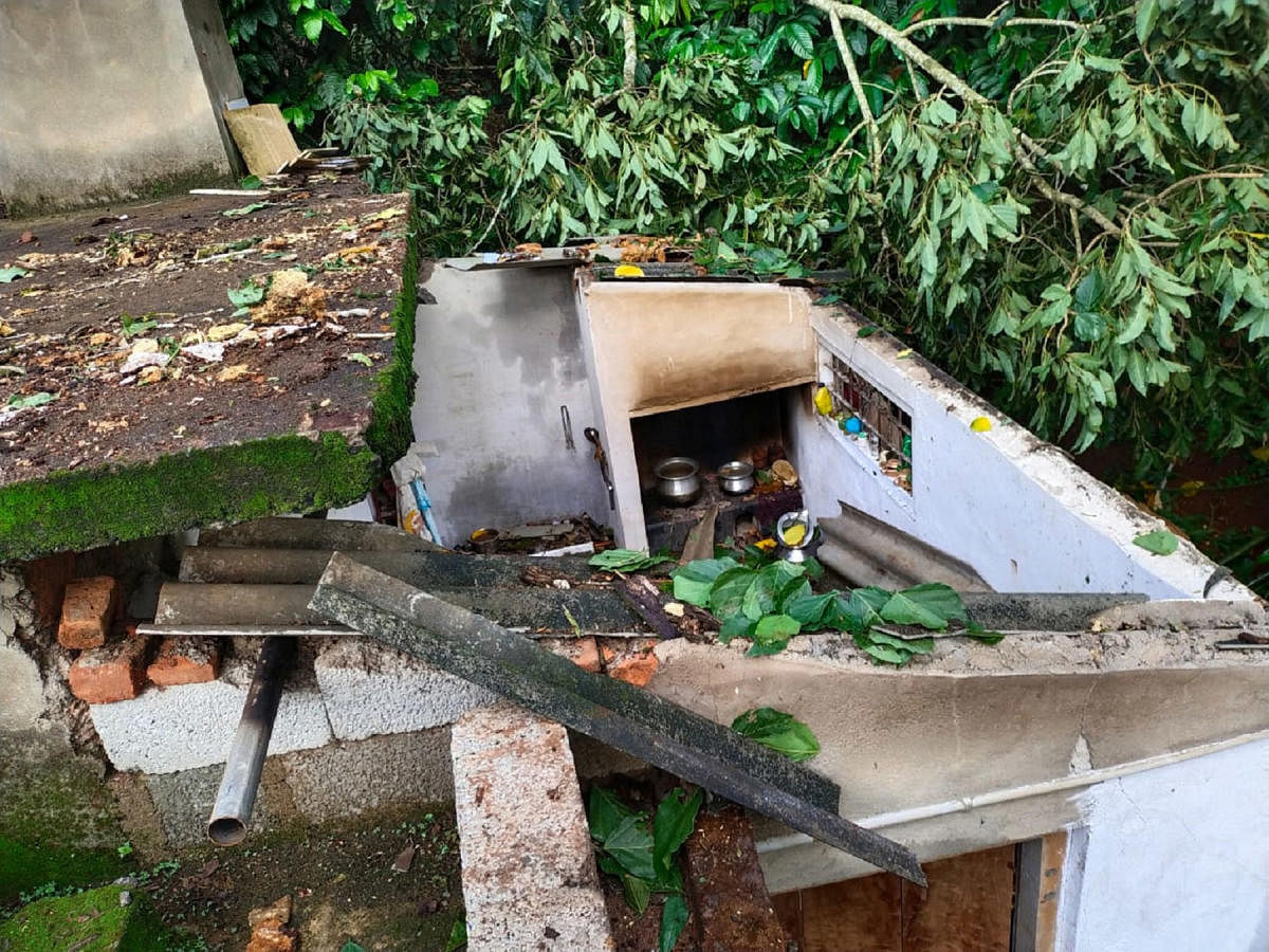 The roof of a house in Koovalekadu, Kokeri village, was damaged after a tree fell on it.