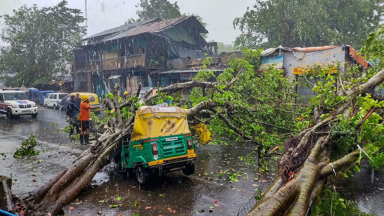 While 24 deaths were due to wall collapses during the cyclone, six died after trees fell on them. Credit: PTI Photo