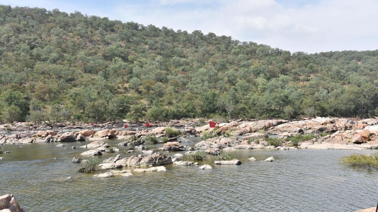 A view of the spot identified by the Government of Karnataka for the construction of a balancing reservoir-cum-drinking water project at Mekedatu in Ramanagara district. Credit: DH file photo