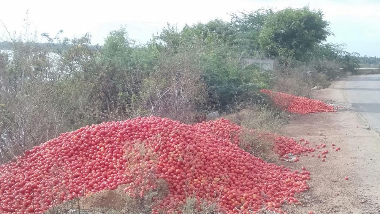Farmers dumped crates of tomatoes by the roadside on Srinivaspur road in Kolar following a price slump, last week. Credit: DH Photo