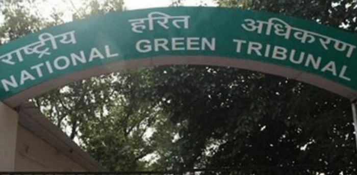 The NGT passed the order while hearing an application seeking execution of its order directing remedial action for violation of environmental norms by AL-DUA Food Processing Pvt Ltd. Credit: DH File Photo