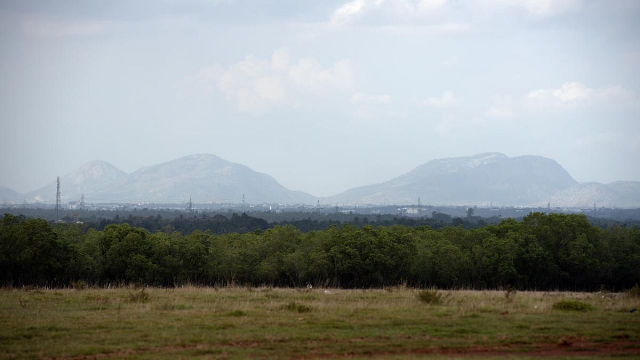 The bench observed that the area has enough population of birds and animals and no alteration of the land is allowed in any manner. Credit: Mahesh Bhat 