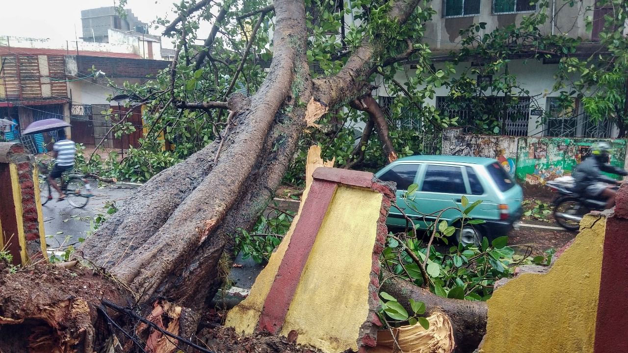 A tree was uprooted and fell on a residential house that collapsed the wall during the landfall of cyclone 'Yaas', in Khunti district. Credit: PTI Photo