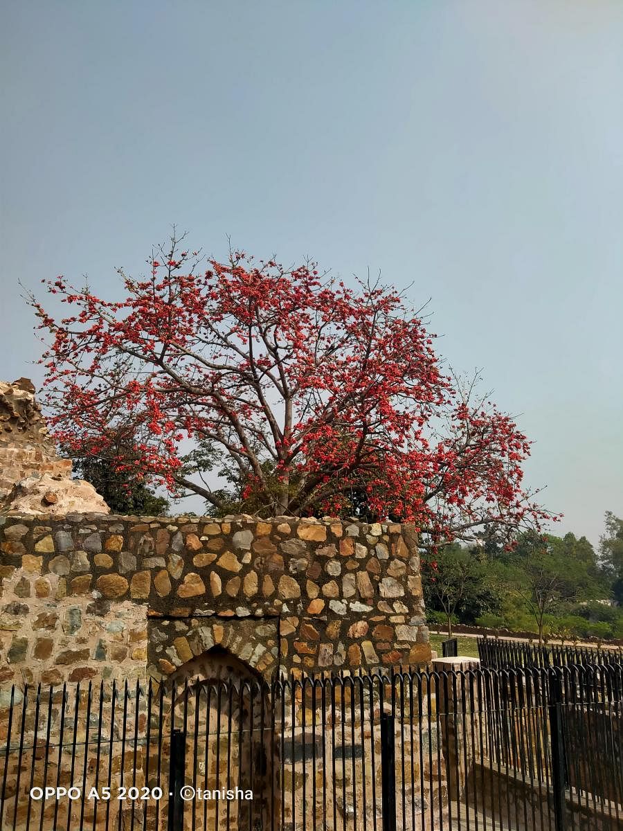 Stone gate at the fort. PHOTO BY AUTHOR