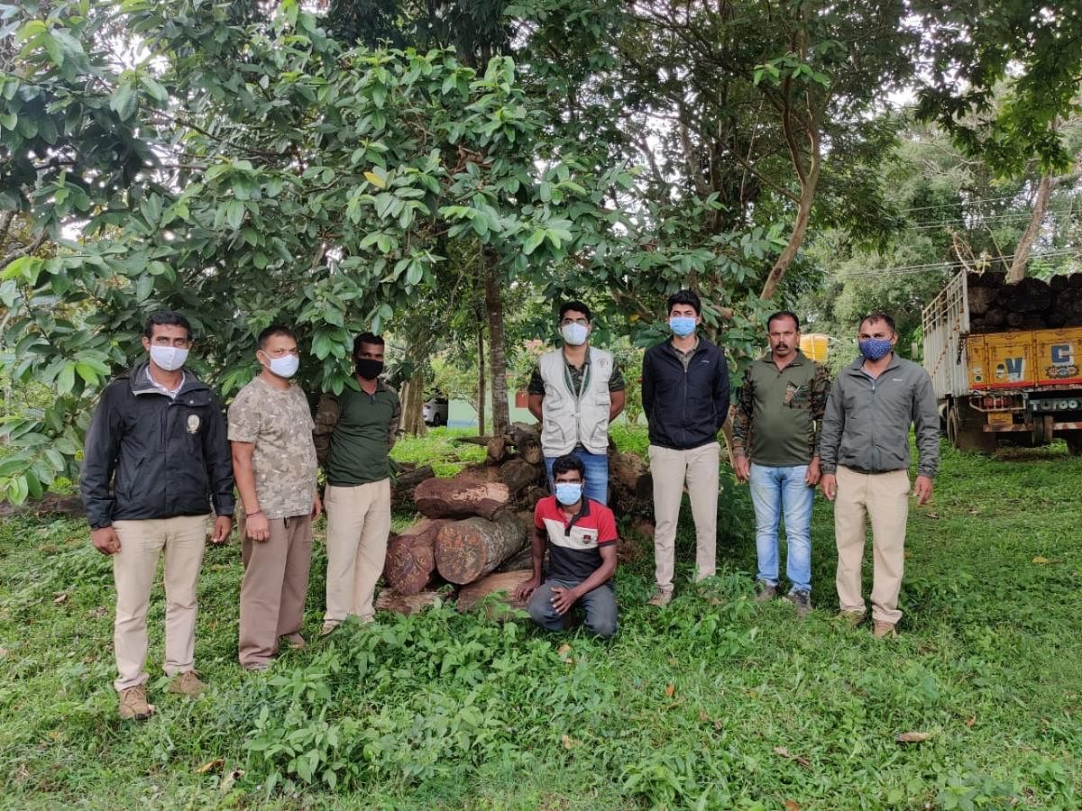 Forest department sleuths arrested a man and recovered rosewood from him.