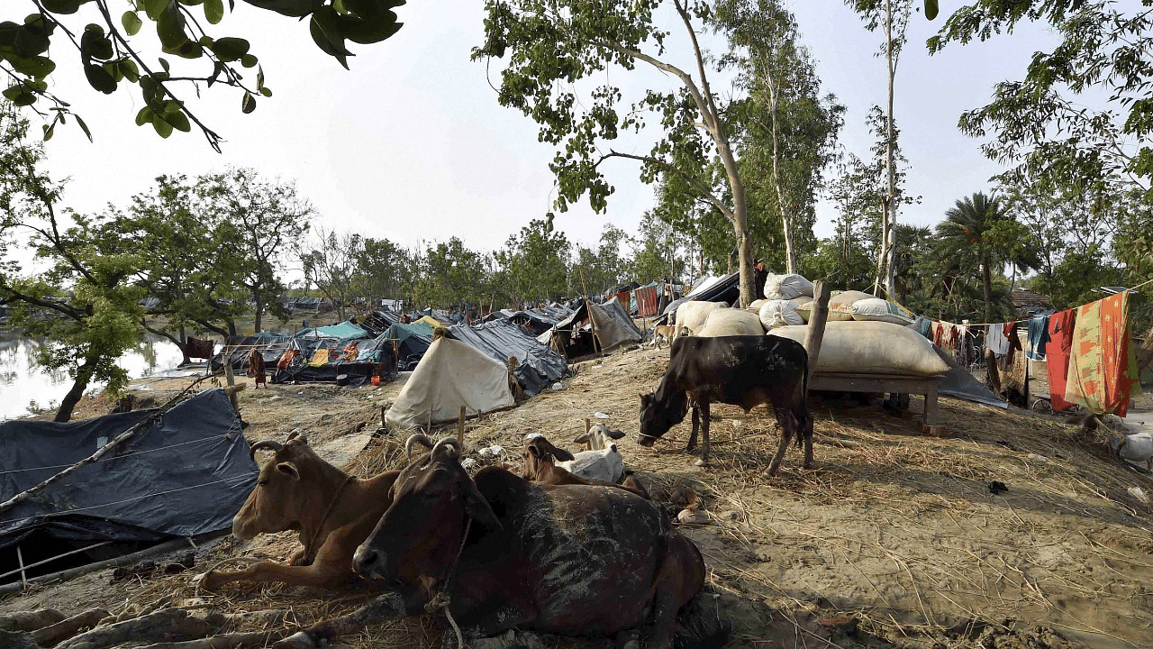 In the aftermath of Cyclone Yaas at Ghoramara Island in the Sundarban Delta complex of the Bay of Bengal. Credit: PTI Photo