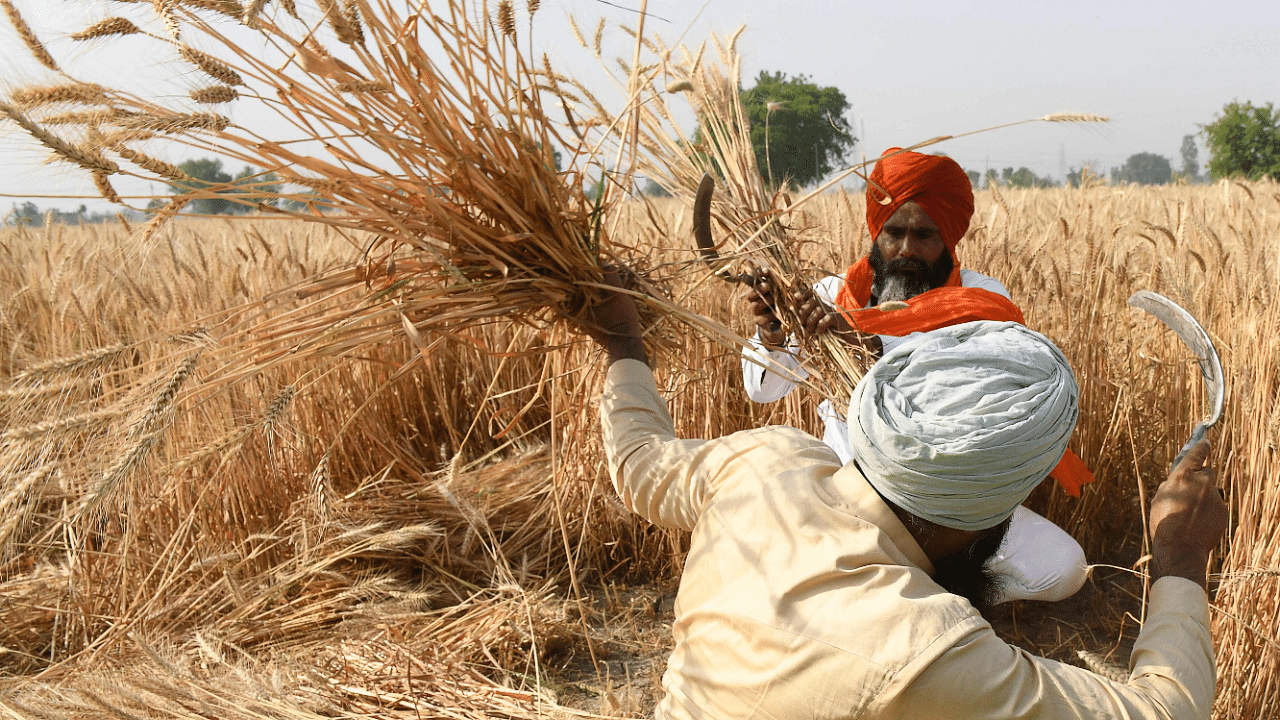 Credit: AFP Photo