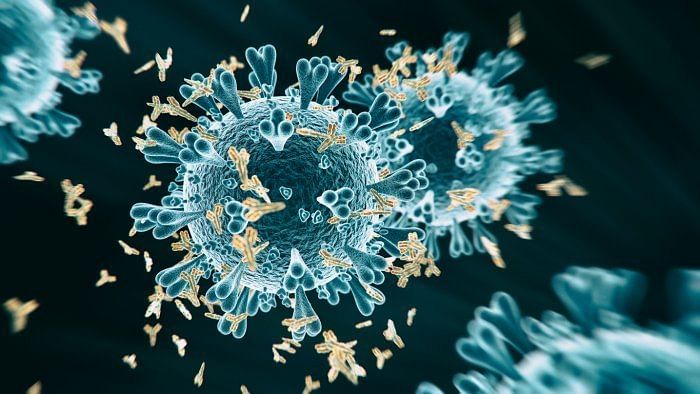 In addition to Delta, at least six other major strains of coronavirus were detected to be circulating in Varanasi, the BHU-CCMB collaborative study has found. Credit: iStock Photo