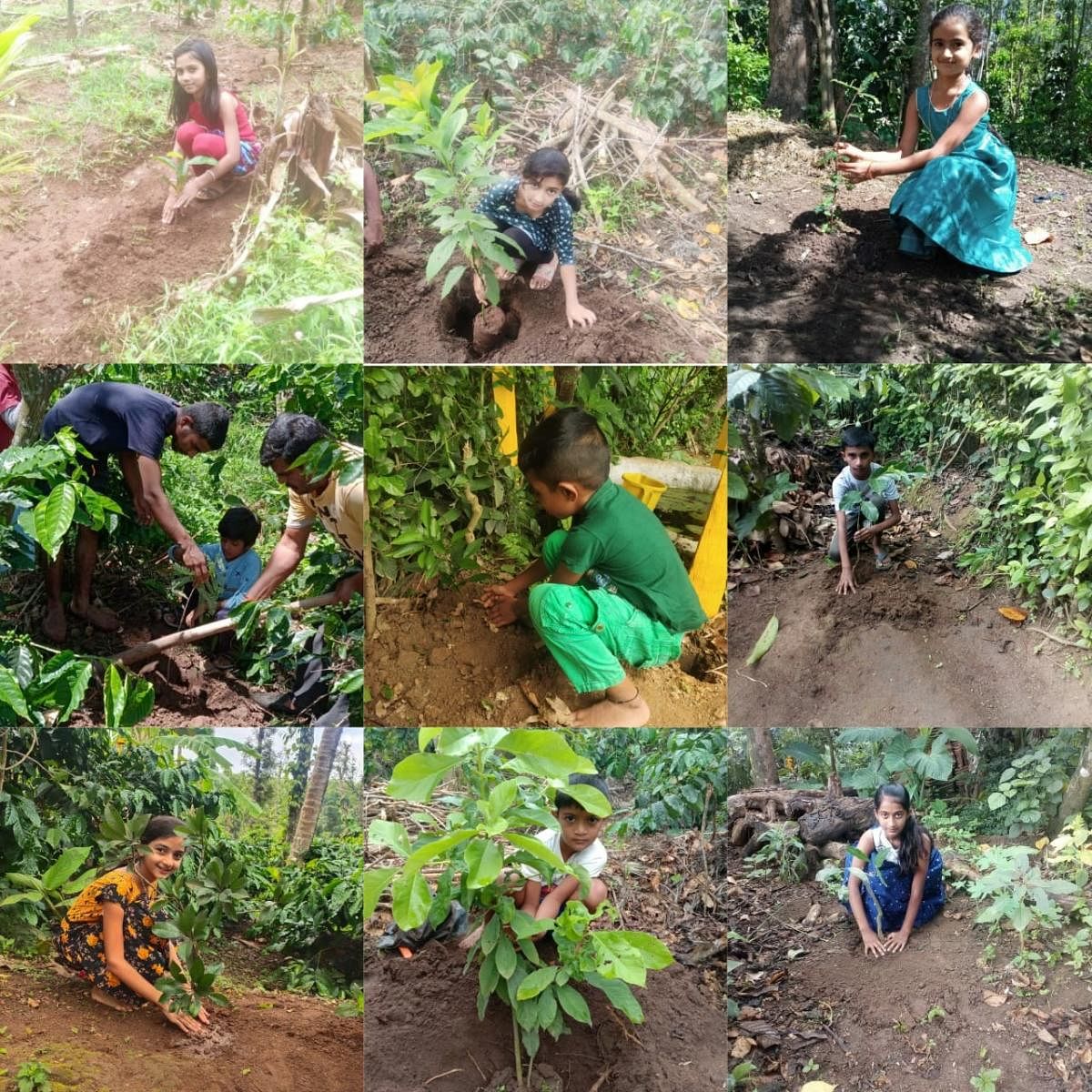 The students of Government Lower Primary School in Mullur plant saplings.