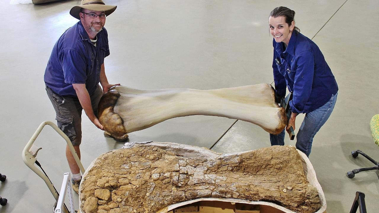 Dr Scott Hocknull and Robyn Mackenzie pose with a 3D reconstruction and the humerus bone of "Cooper," a new species of dinosaur discovered in Queensland and recognised as the largest ever found in Australia. Credit: Reuters Photo