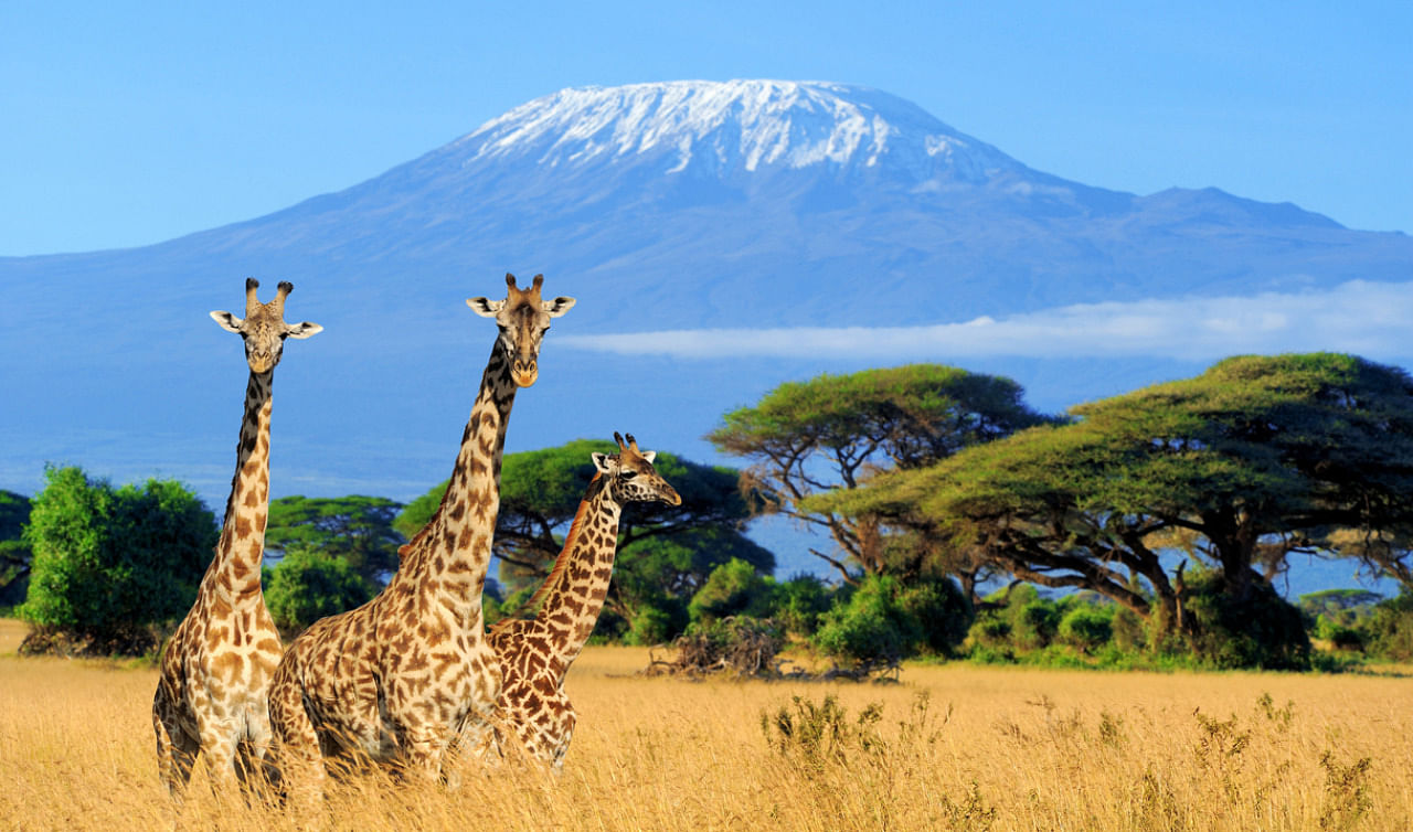 India is the third-largest source of tourists for the Kenyan tourism industry. Credit: iStock Photo