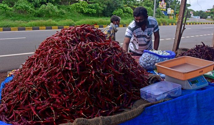 A seller sells chillies by the side of a road at KPT Junction in Mangaluru. Credit: DH Photo/Govindraj Javali