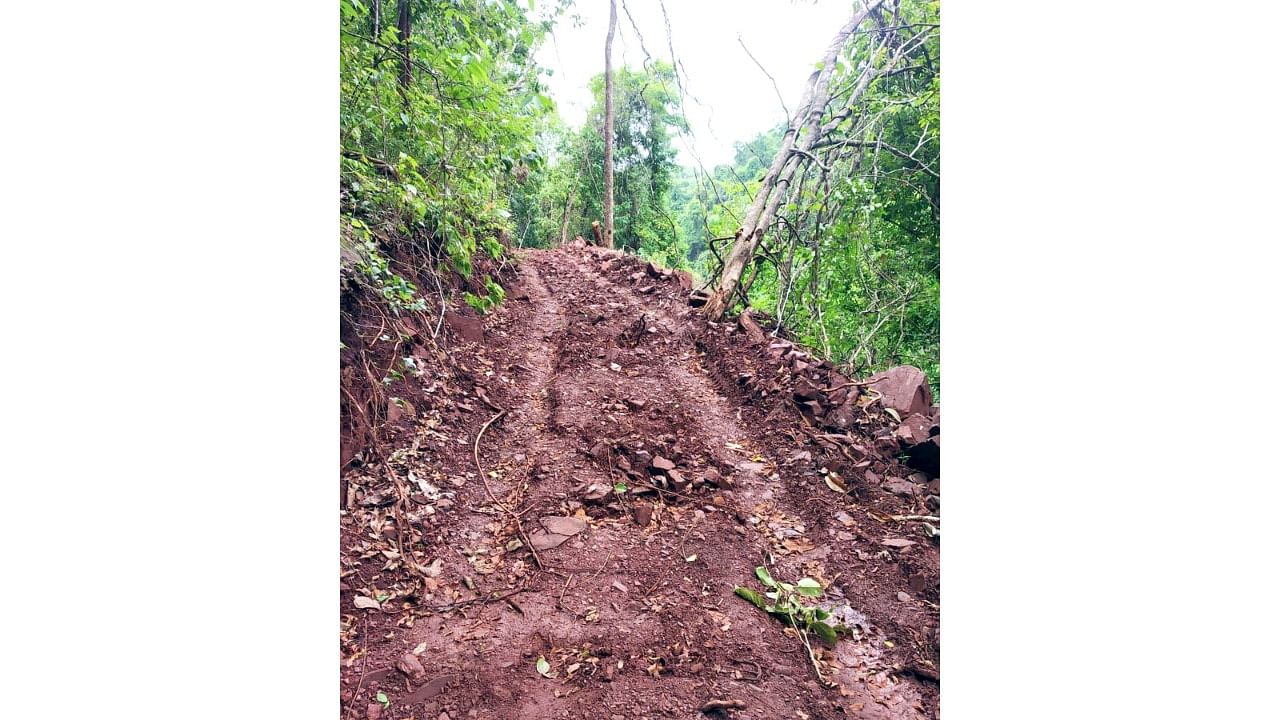 The road leading to Kumbraal waterfall in Uttara Kannada district. Credit: DH Photo