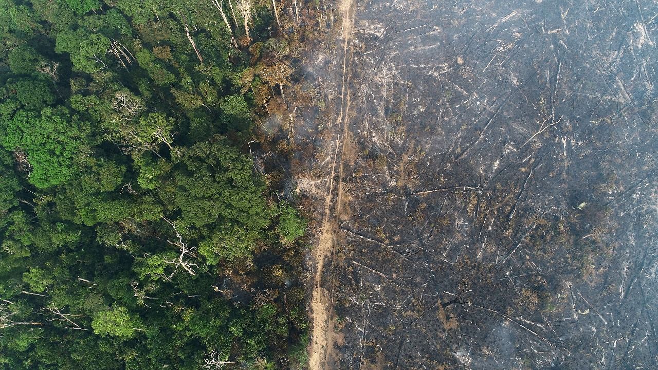 General view of a tract of the Amazon jungle which burns as it is cleared by loggers and farmers near Apui. Credit: Reuters file photo