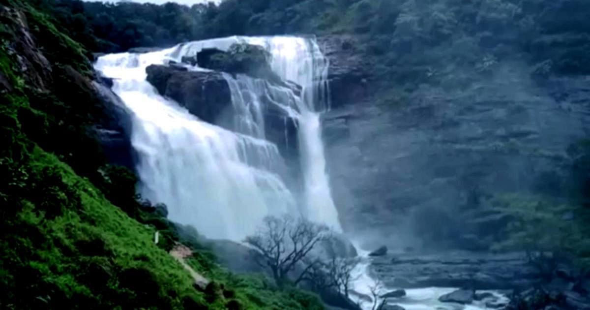 Mallalli Falls in Somwarpet taluk is in splendour, following heavy rainfall in the region.