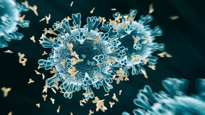 The Delta variant is one of the variants within the B.1.617 lineage of the Covid virus that was identified earlier this year in India. Credit: iStock Photo