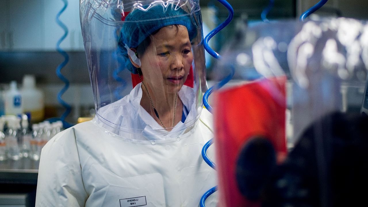 This file photo taken on February 23, 2017 shows Chinese virologist Shi Zhengli inside the P4 laboratory in Wuhan, capital of China's Hubei province. Credit: AFP file photo