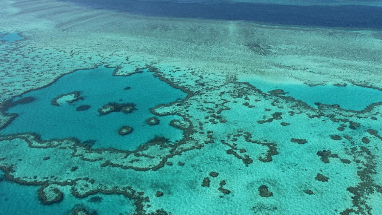 Stretching 2,300 kilometres along Australia's northeast coast, the world's largest coral reef system, a huge draw for tourists, has been battered by global warming. Credit: AFP Photo