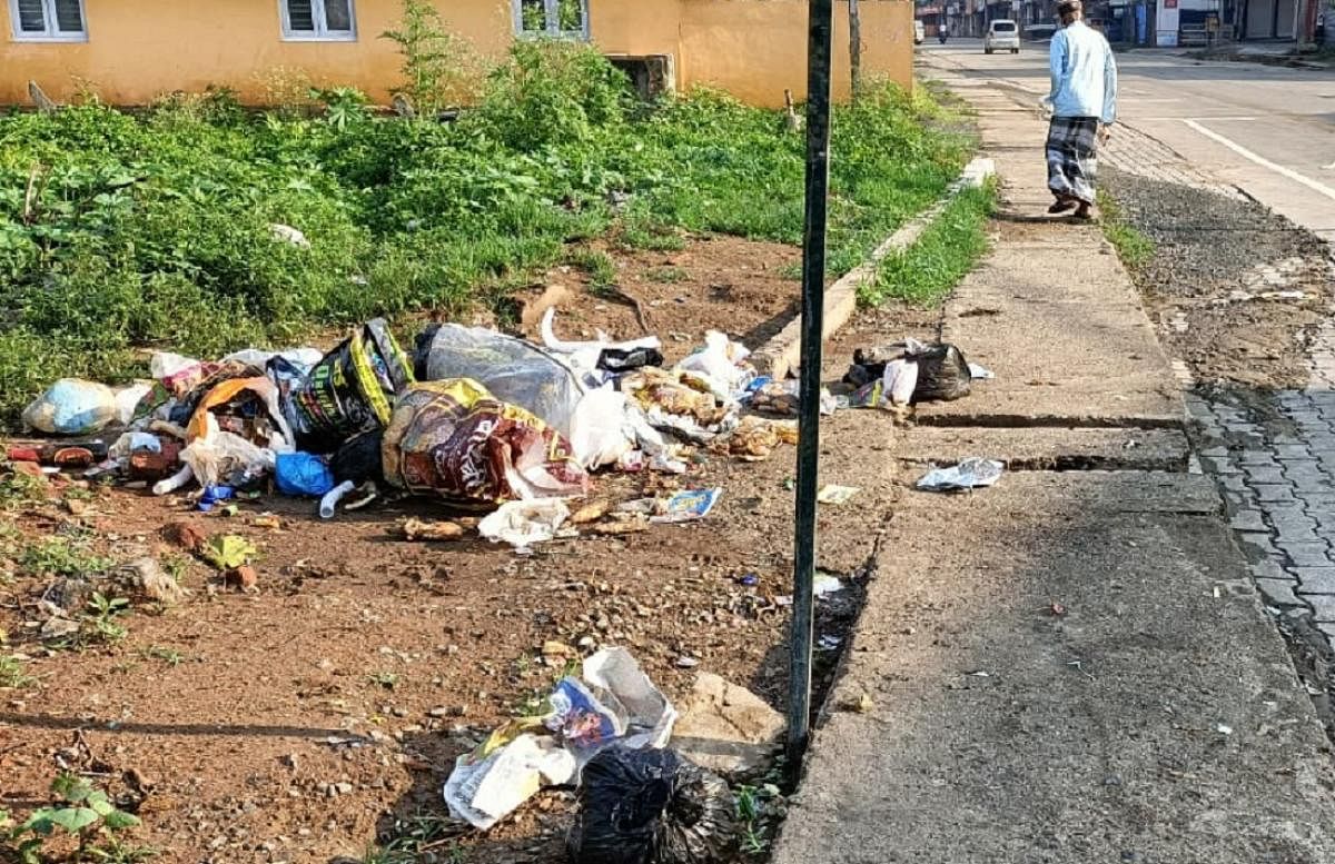 Waste dumped on the roadside in Virajpet. Credit: special arrangement