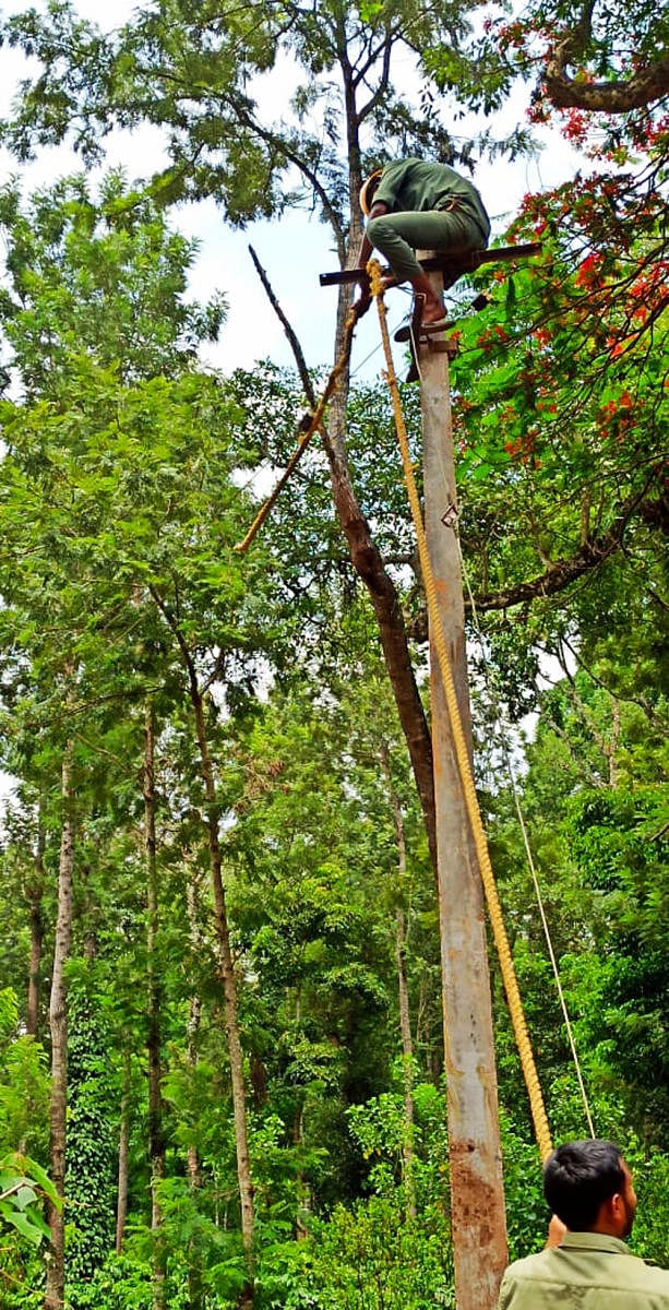 CESC personnel engage in power restoration work in Suntikoppa hobli.