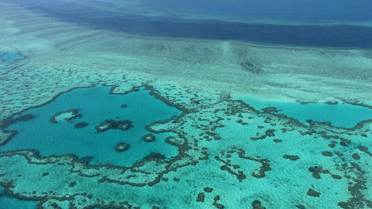 This photo taken on November 20, 2014 shows an aerial view of the Great Barrier Reef off the coast of the Whitsunday Islands, along the central coast of Queensland. Credit: AFP Photo