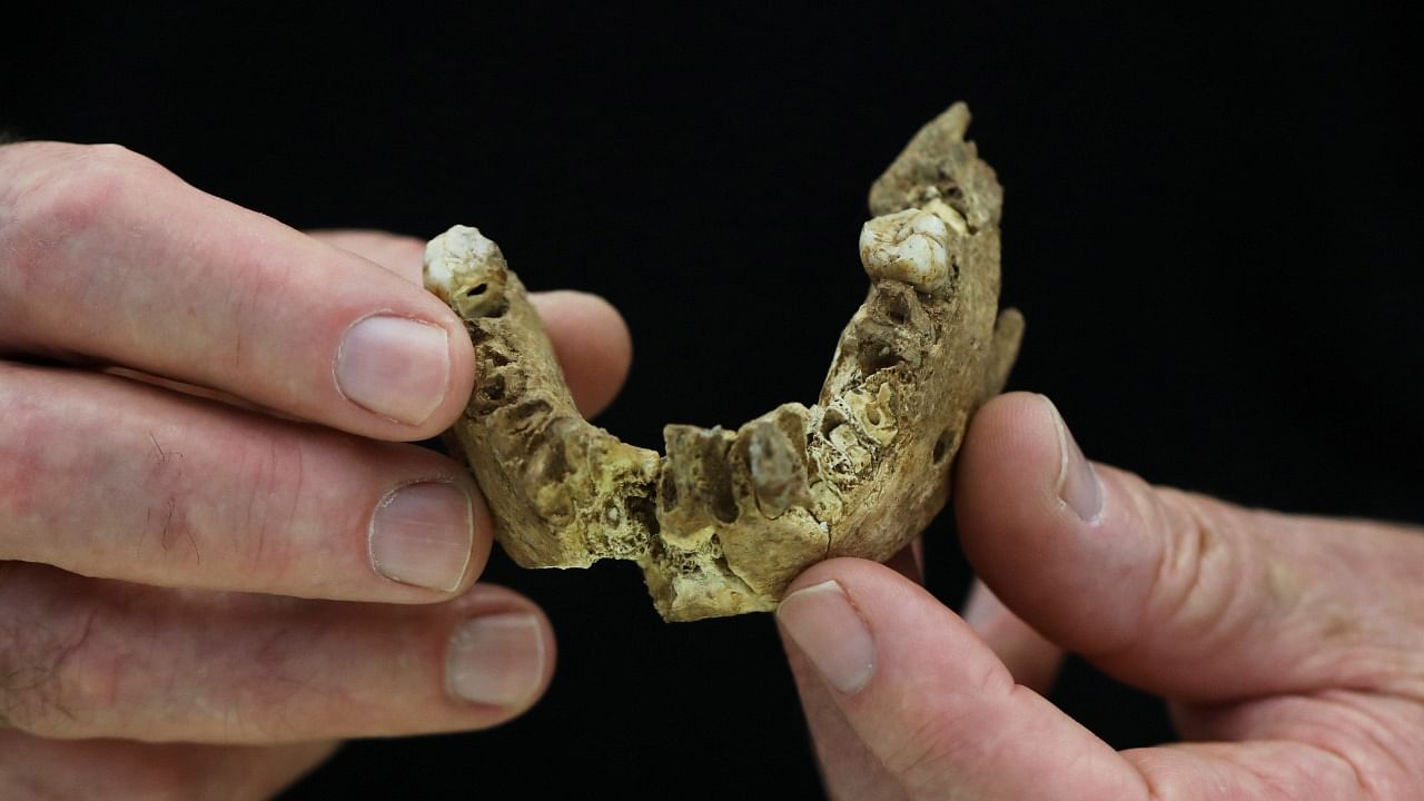Tel Aviv University Professor Israel Hershkovitz, holds what scientists say is a piece of fossilised bone of a previously unknown kind of early human discovered at the Nesher Ramla site in central Israel. Credit: Reuters photo