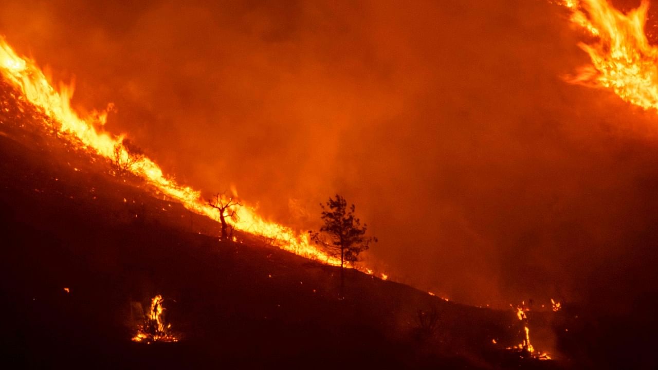 Fire devours parts of the slopes of the Throodos mountain chain in Cyprus. Credit: AFP Photo