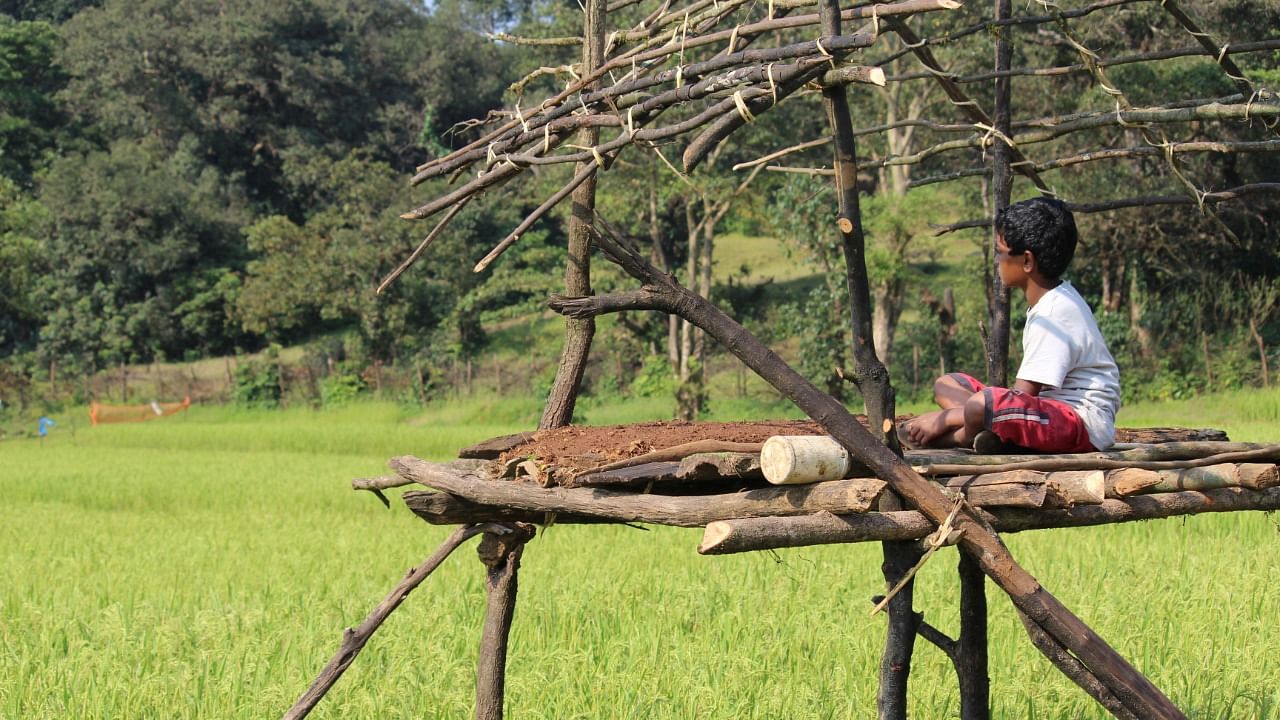 Forest dwellers who wish to relocate are mostly those who have been denied basic facilities like healthcare, education. Credit: DH File Photo