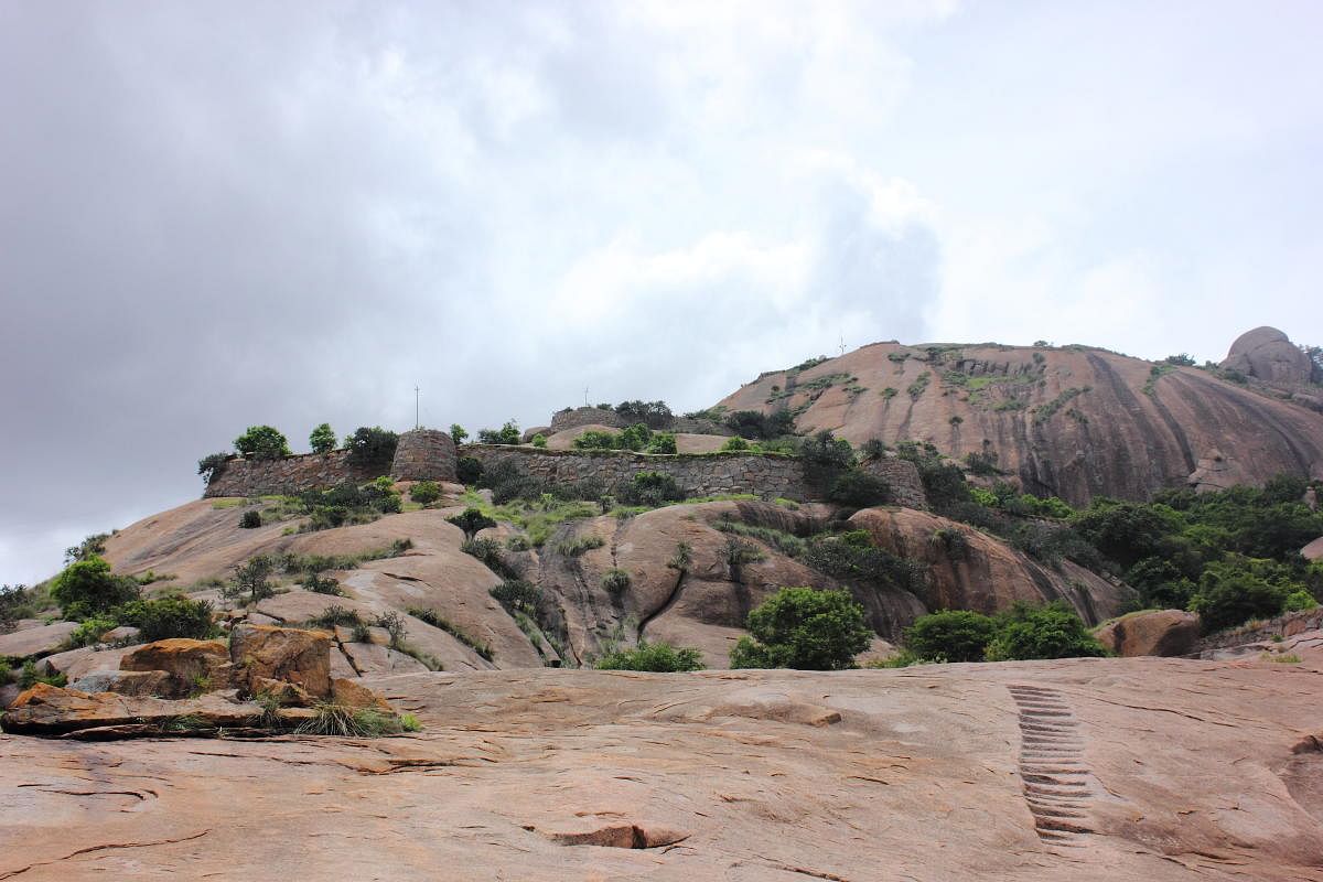 Uttari Betta, the fortified hill known as Hutridurga in Kunigal taluk. PHOTOS COURTESY WIKIPEDIA