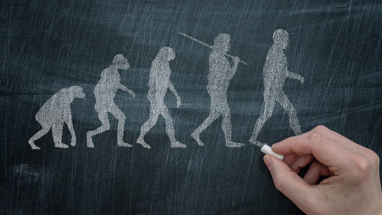Science education in the US is constantly on the defensive against antievolution activists who want biblical stories to be taught as fact. Credit: iStock photo