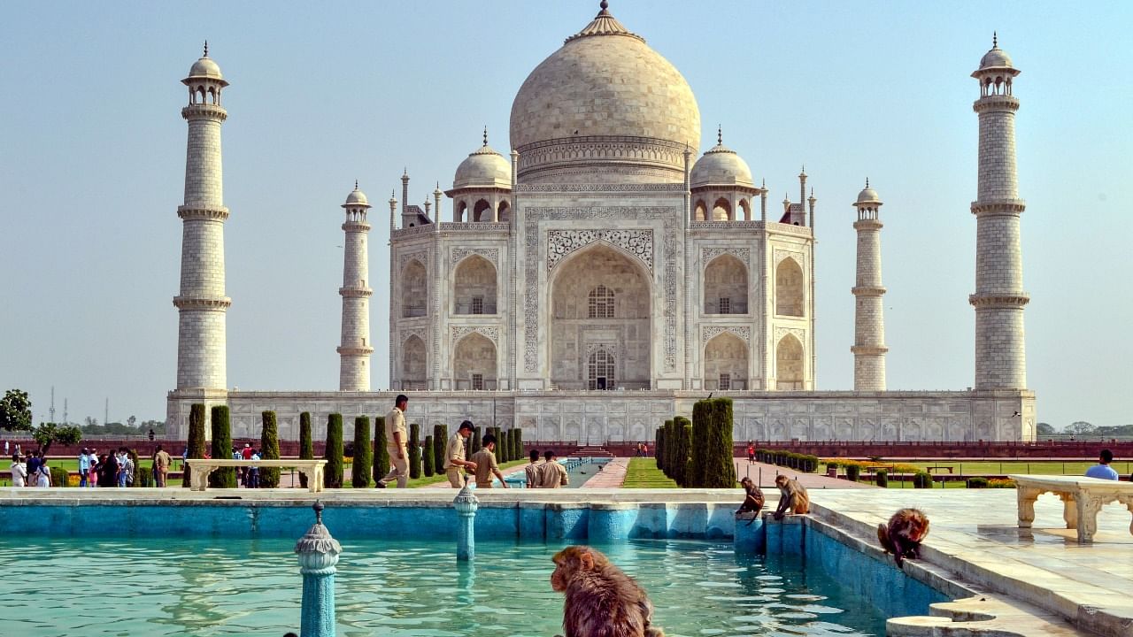 Monkeys roam around amid low footfall at Taj Mahal in Agra. Credit: PTI Photo