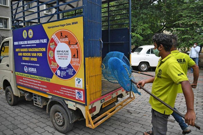 Dedicated anti-rabies vaccine vehicles launched on World Zoonoses Day. Credit: DH Photo/Pushkar V