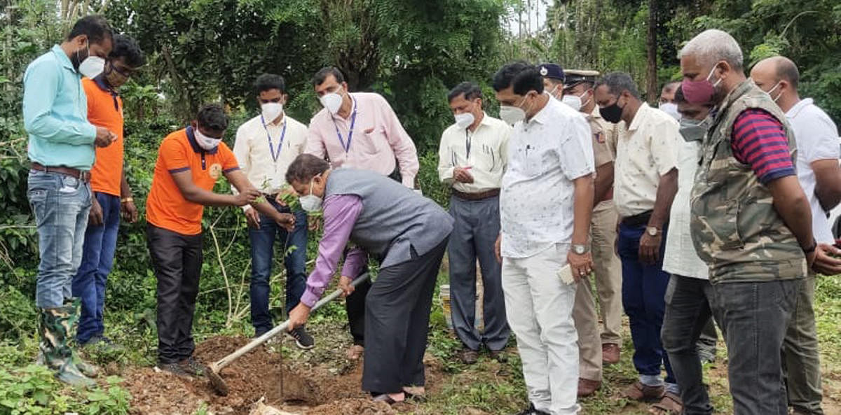 MLA K G Bopaiah digs a pit to plant a sapling on the banks of a lake in Thoochamakeri.